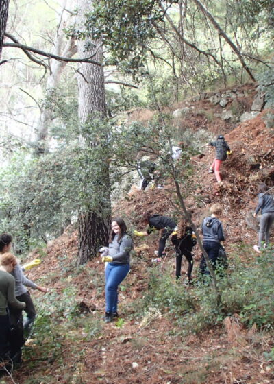 pa220041.jpg
